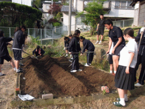 千鳥ラボ　サツマイモ苗植