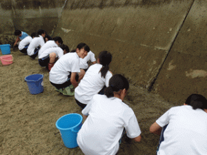 カブトガニ博物館体験学習