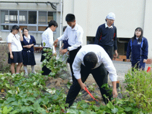 収穫祭in千鳥ラボ