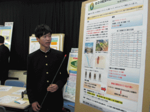 ポスター発表合同研修会