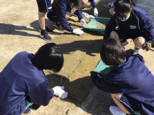 飛島研修に向けた芝生敷設実習